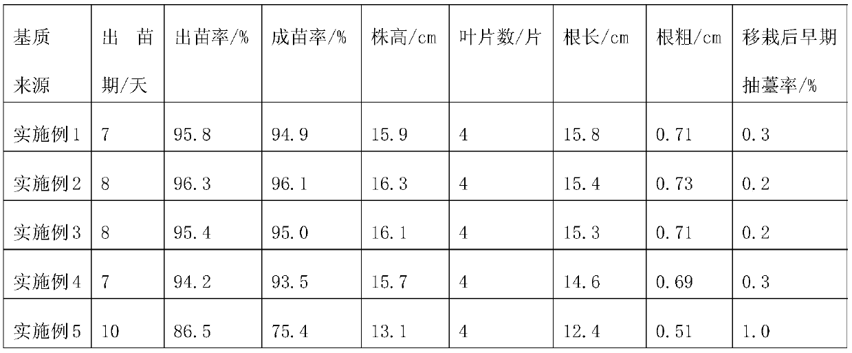 Soilless culture seedling substrate for angelica and preparation method thereof