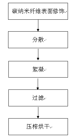 Carbon nanofiber paper and preparation method thereof