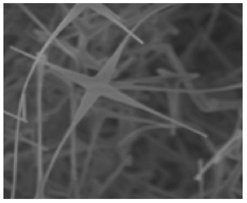 Water chestnut type high-magnesium-content Zn&lt;1-x&gt;Mg&lt;x&gt;O nanometer structure and preparation method thereof