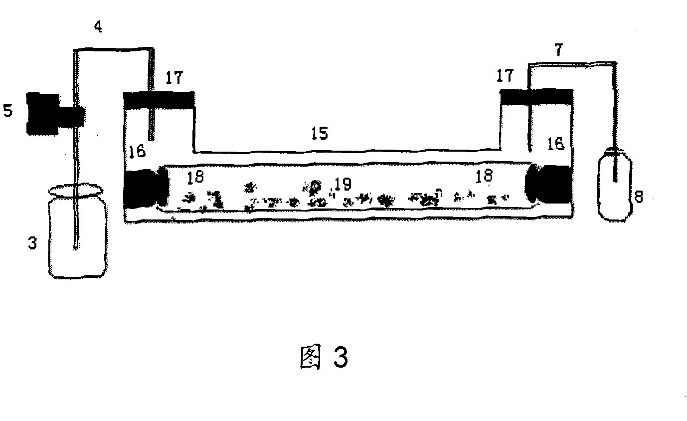 Broiler external digestion simulating device