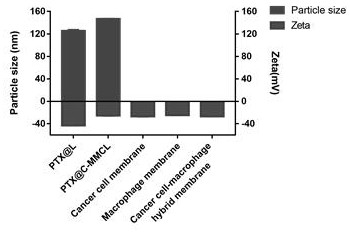 Bionic nano-carrier and application thereof in preparation of brain glioma treatment drugs