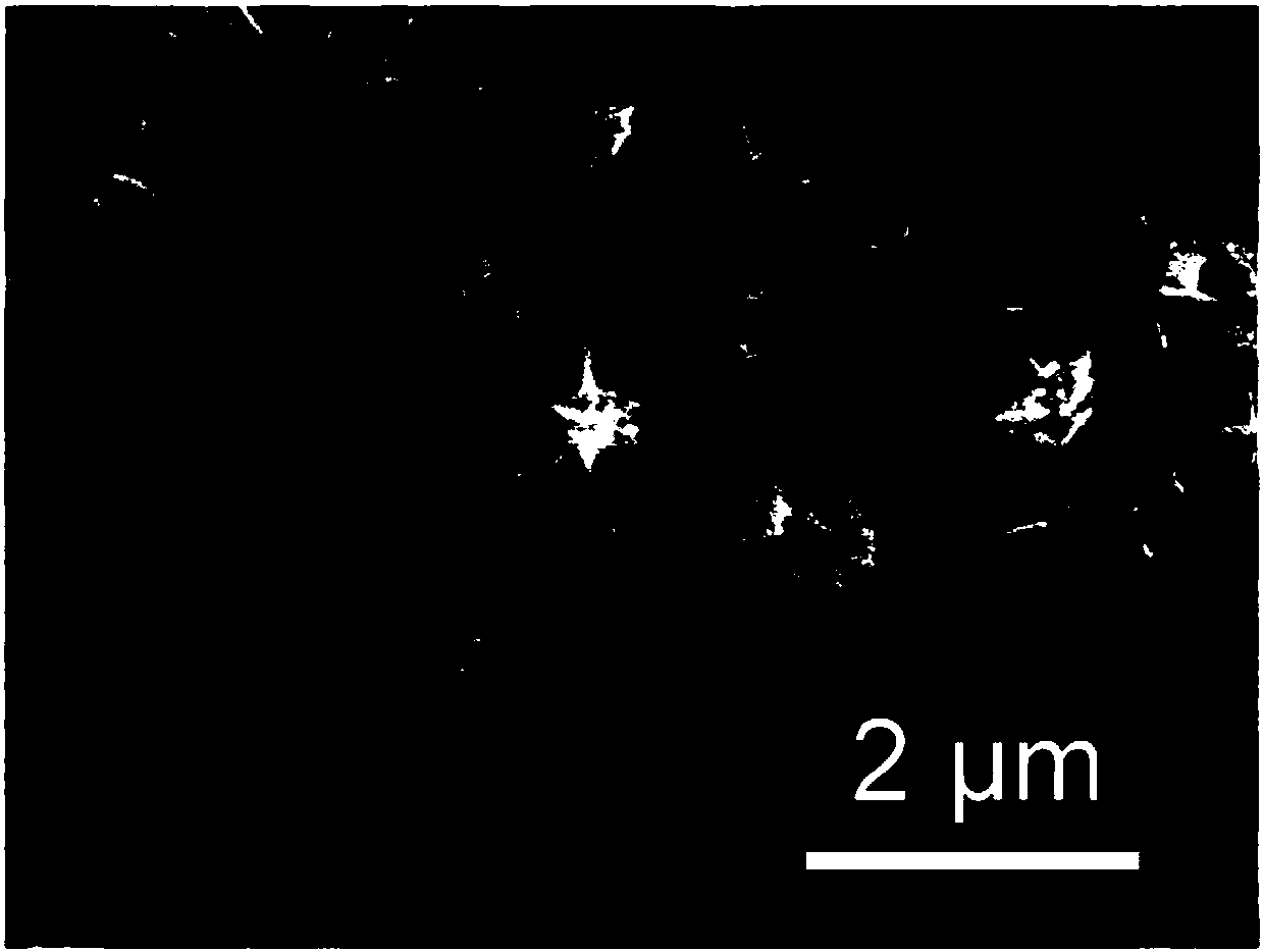 A kind of preparation method of flaky cu9fe9s16 nanometer flower