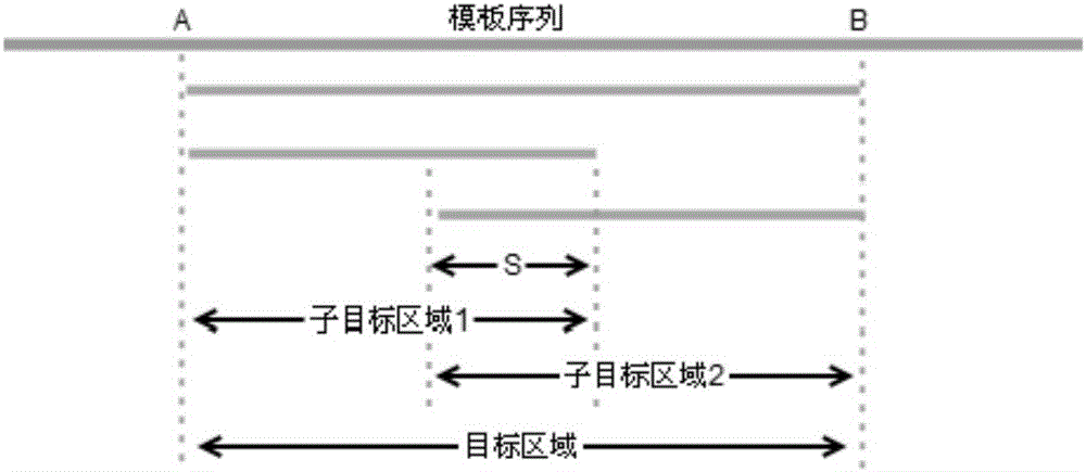 bPrimer batch PCR primer design method based on Primer 3