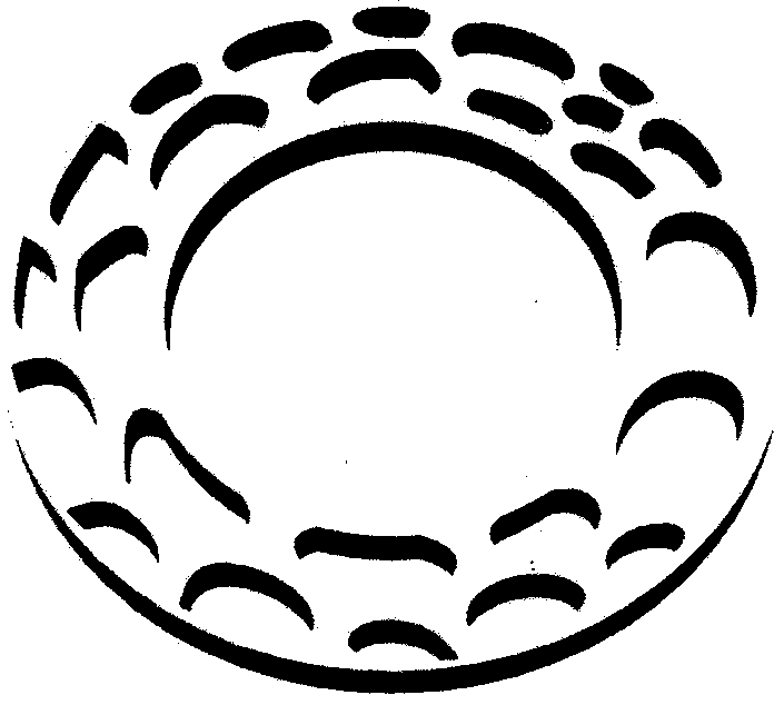 Complex network modeling method for models of hollowed-out structure products