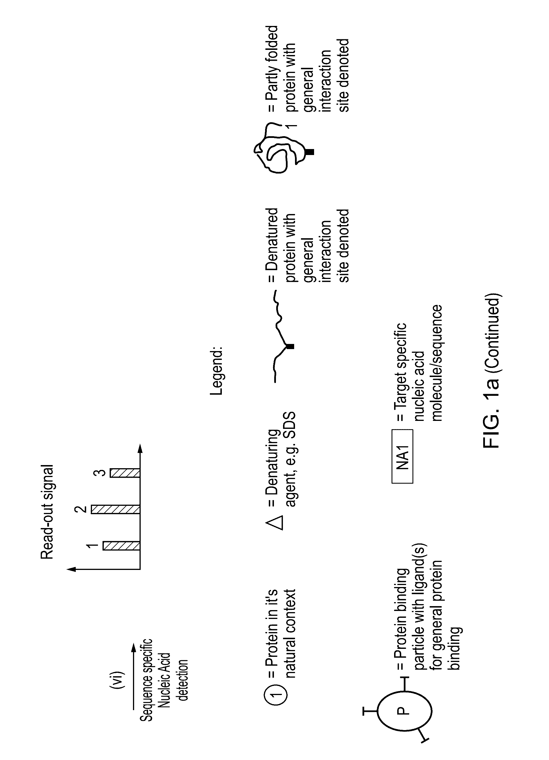 Method for protein analysis