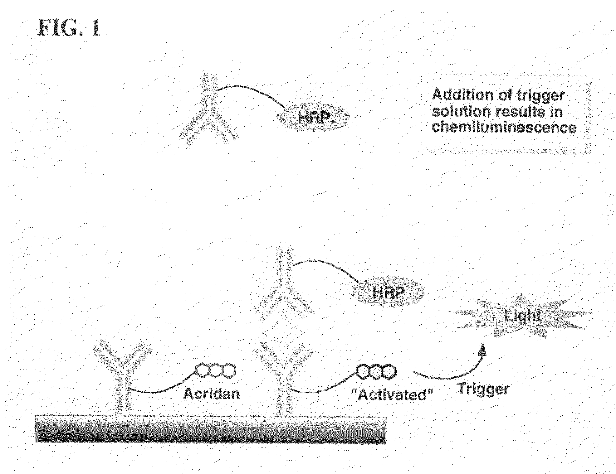 Nonseparation assay methods