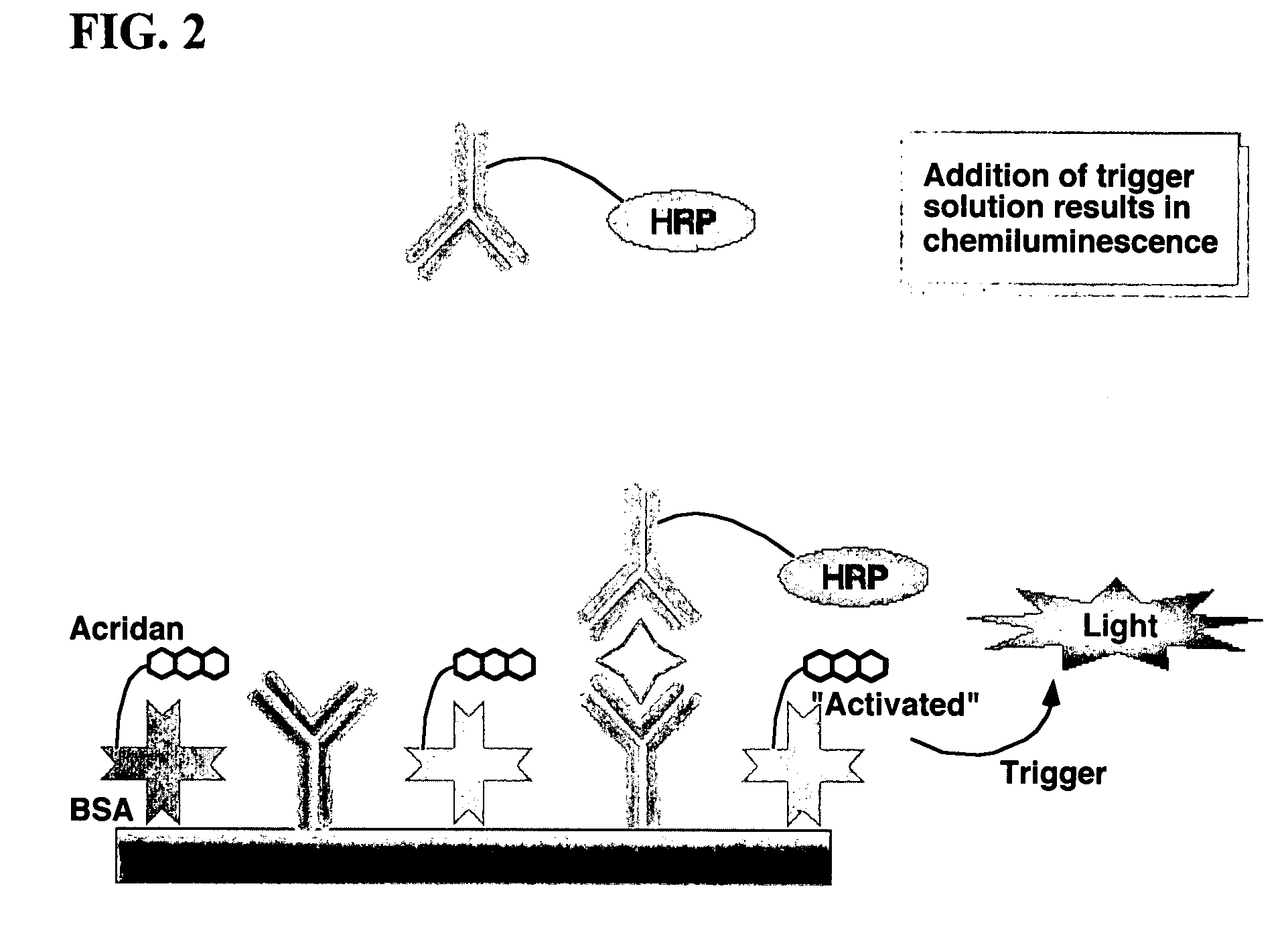 Nonseparation assay methods