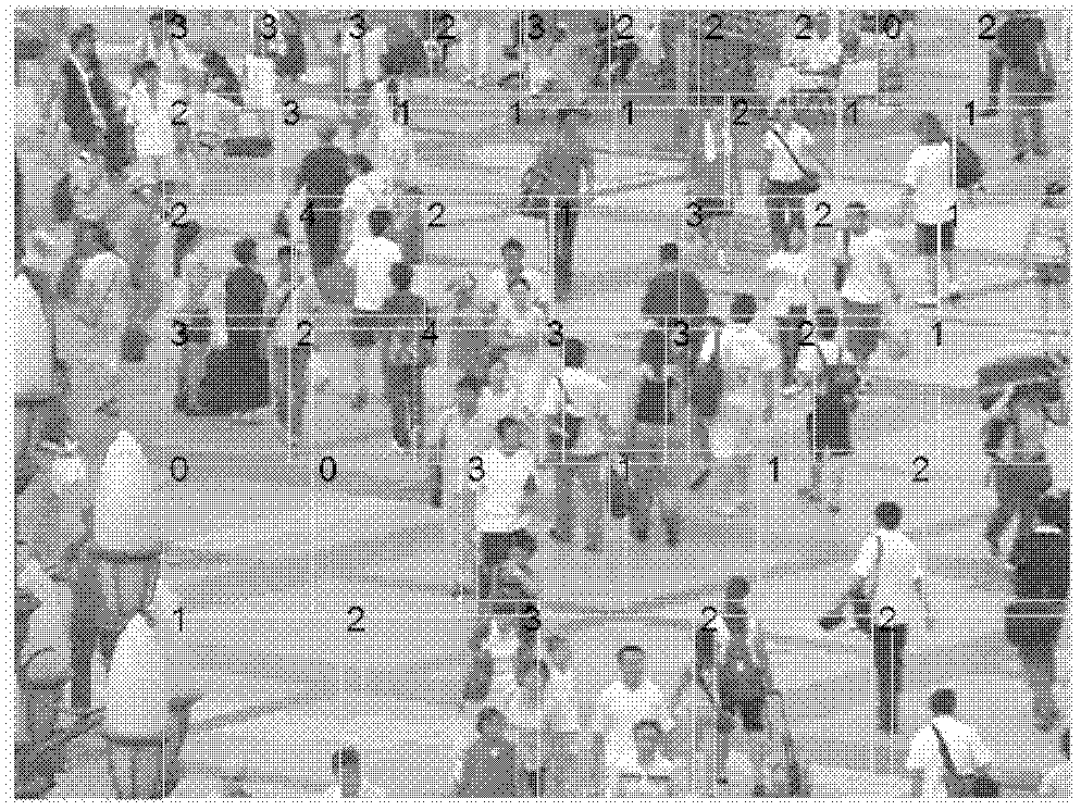 Method and device for estimating crowd density in video image