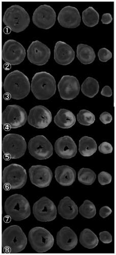 Application of traditional Chinese medicine composition in preparation of medicine for preventing and/or treating myocardial ischemia reperfusion injury