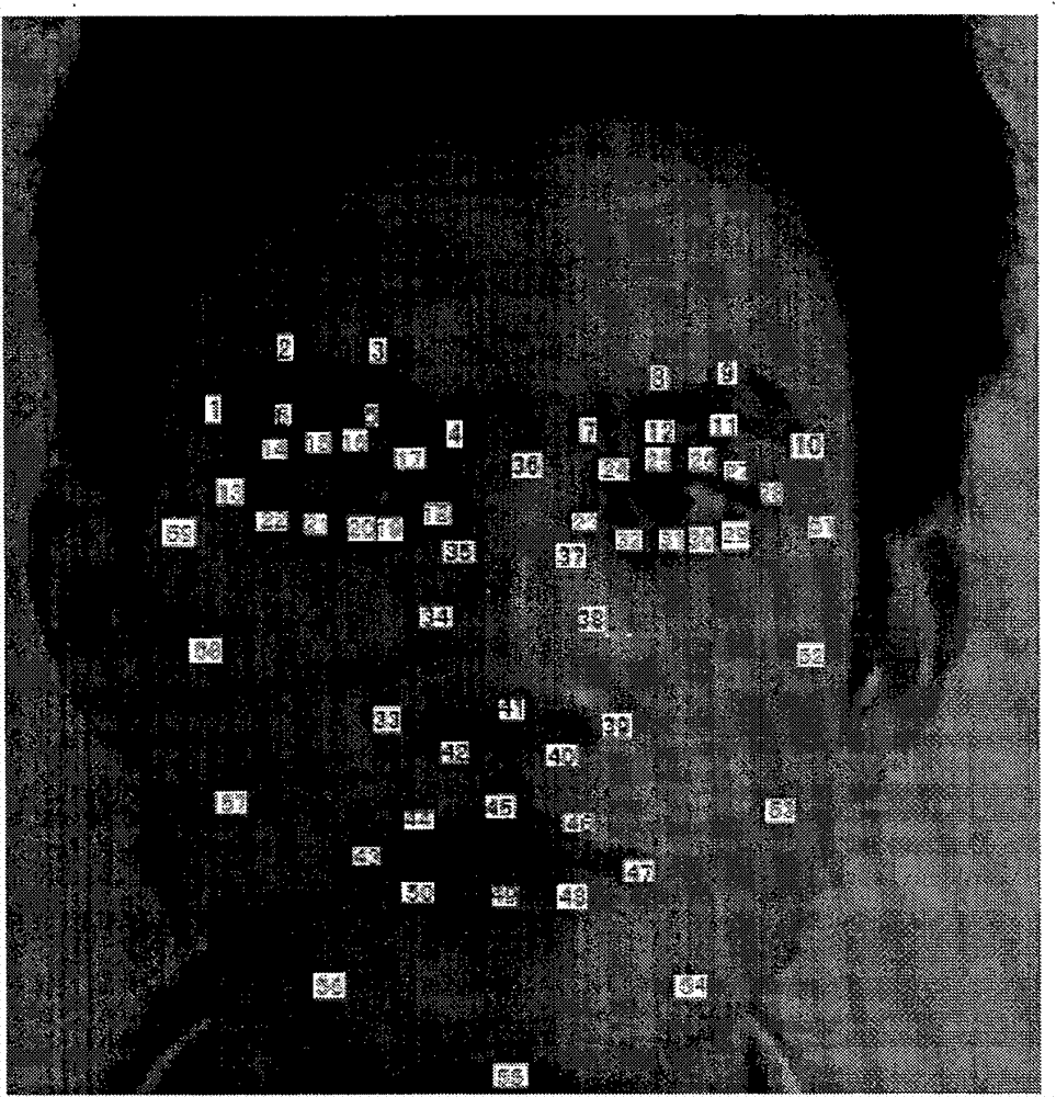 Three-dimensional transformation search method for extracting characteristic points in human face image