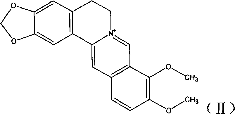 New derivatives of berberine coupled with cholic acid at ninth position through ester bond and preparation methods thereof