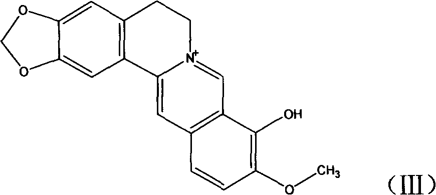 New derivatives of berberine coupled with cholic acid at ninth position through ester bond and preparation methods thereof