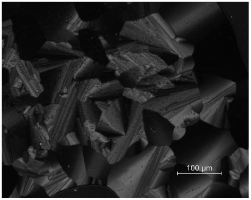 Triphenylene-perylene monoimide dicarboxylate binary compound and its preparation method and application