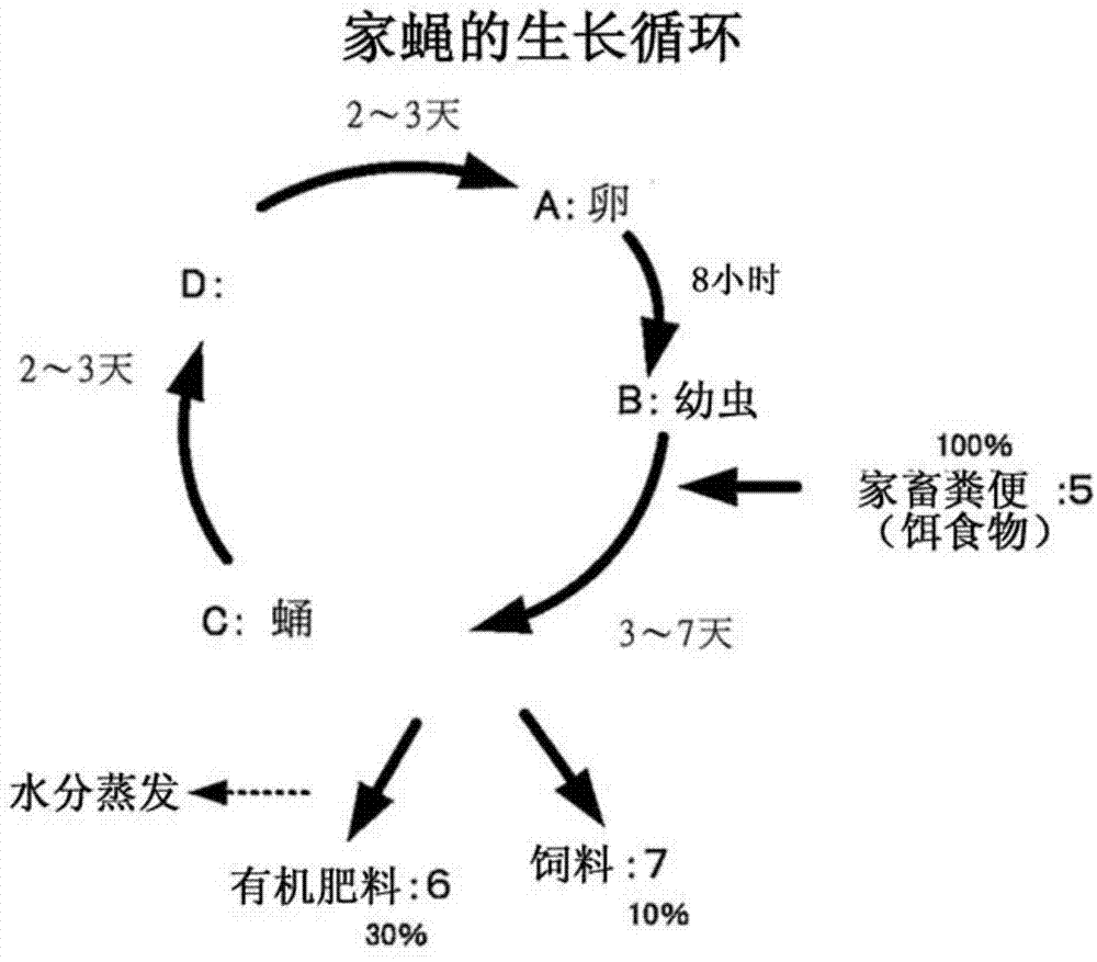 Organic fertilizer and feed production system