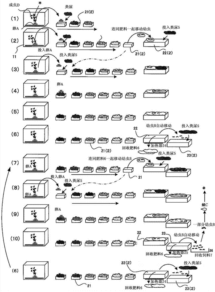 Organic fertilizer and feed production system