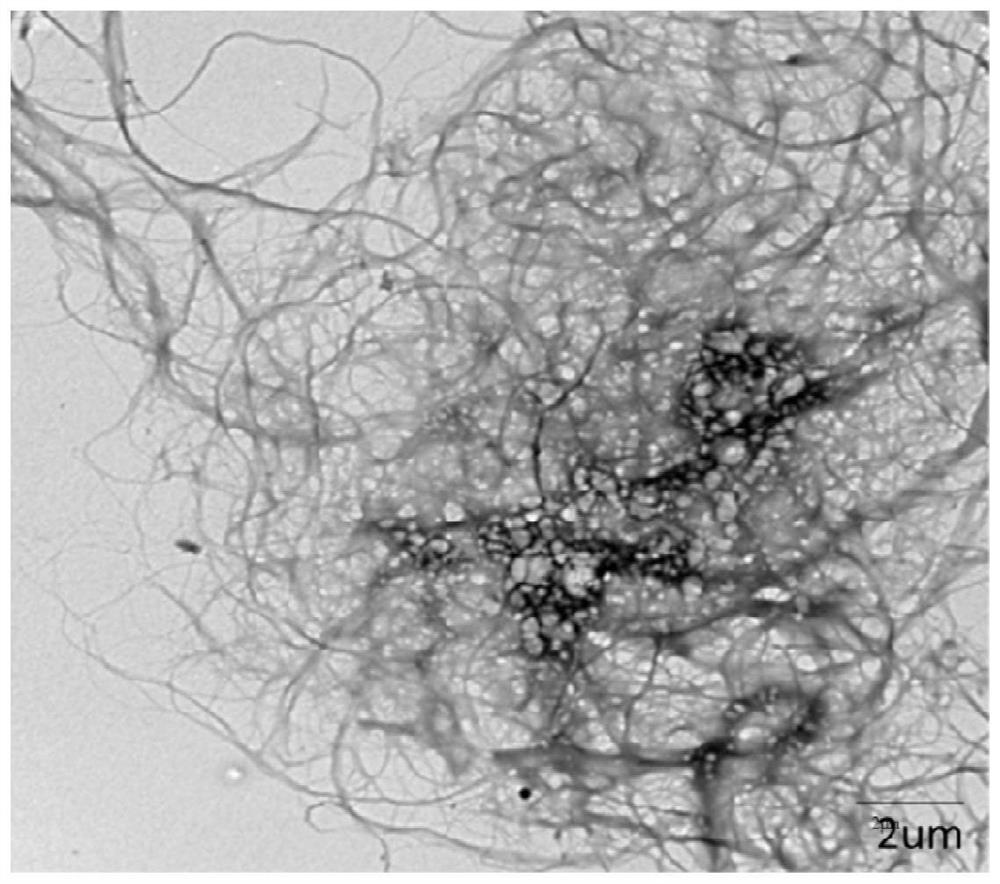 Cellulose nanofibril suspension and preparation method thereof