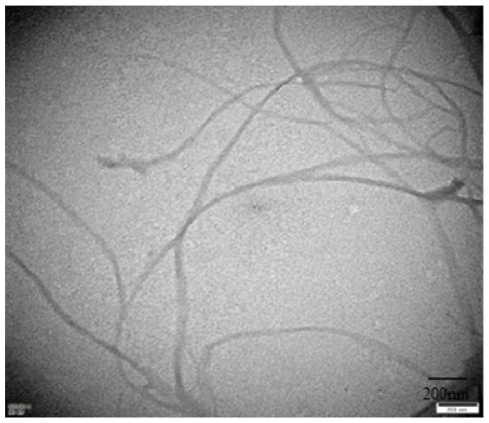 Cellulose nanofibril suspension and preparation method thereof