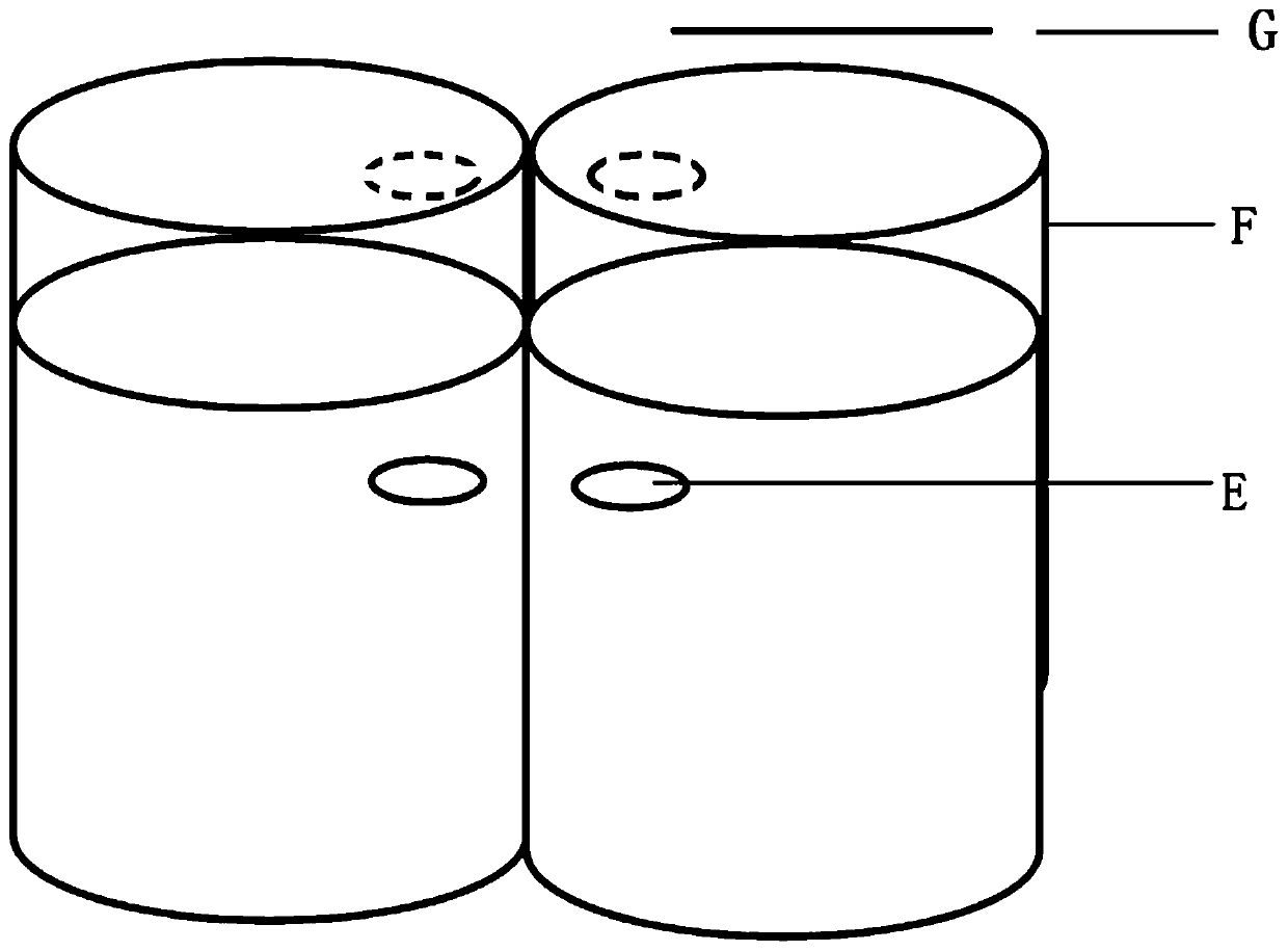 Method for cultivating phellinus igniarius with double-bag conjoined stacking rows