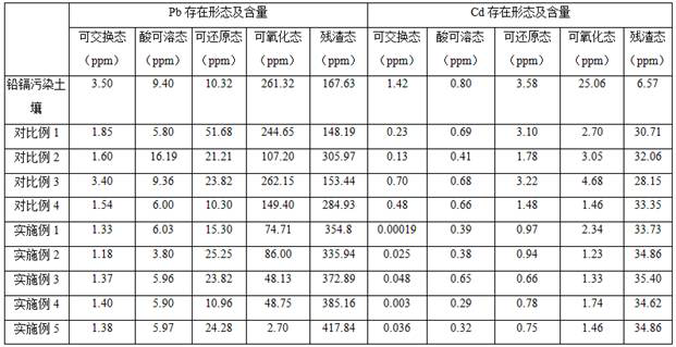 A kind of foam carbon immobilization passivator and its preparation method and application