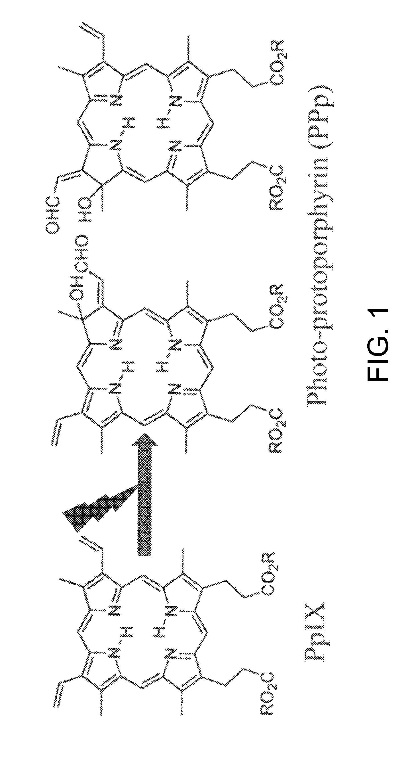 Tumor site or parathyroid gland identification device and method