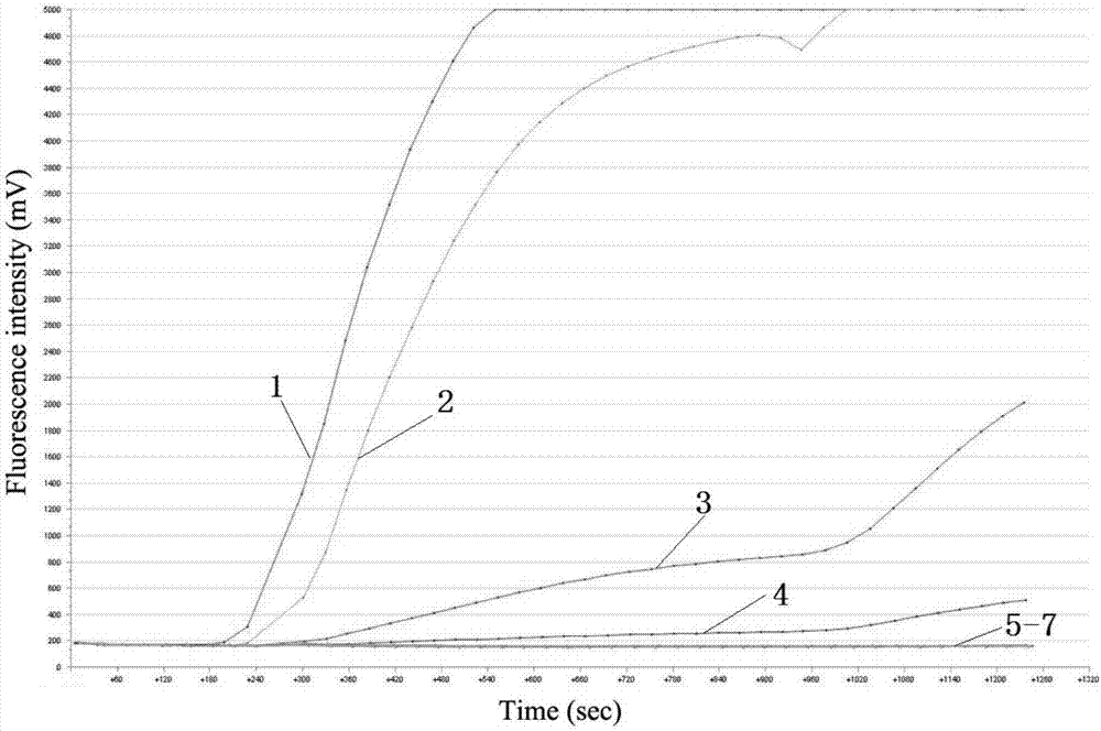 Reagent and detection for detecting porcine senecavirus A and application of reagent