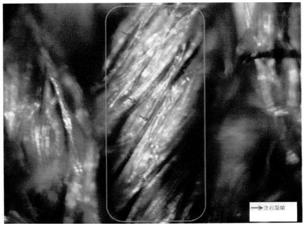 Preparation method of washable 5A-grade antibacterial and antiviral graphene fiber and fiber product