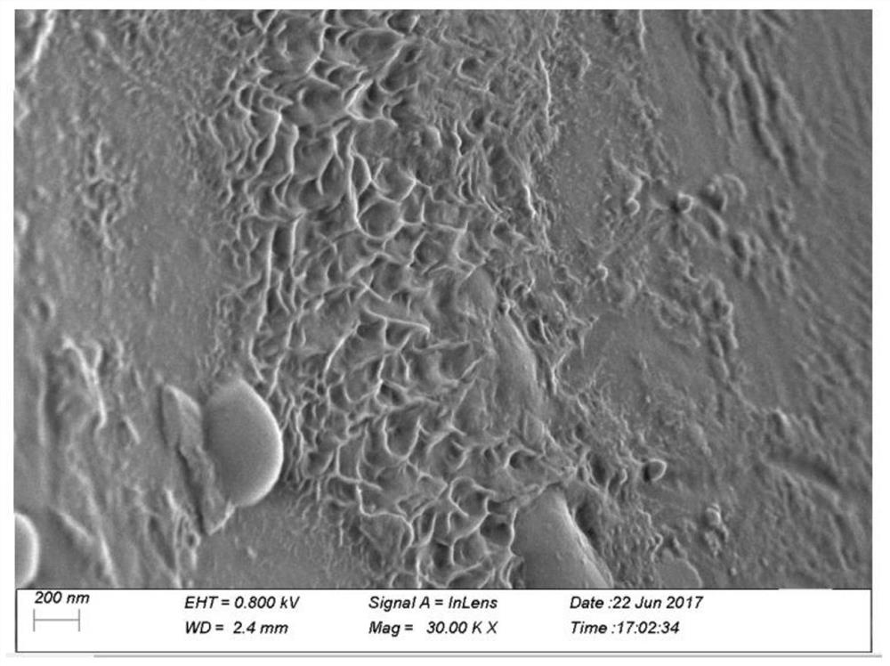 Preparation method of washable 5A-grade antibacterial and antiviral graphene fiber and fiber product