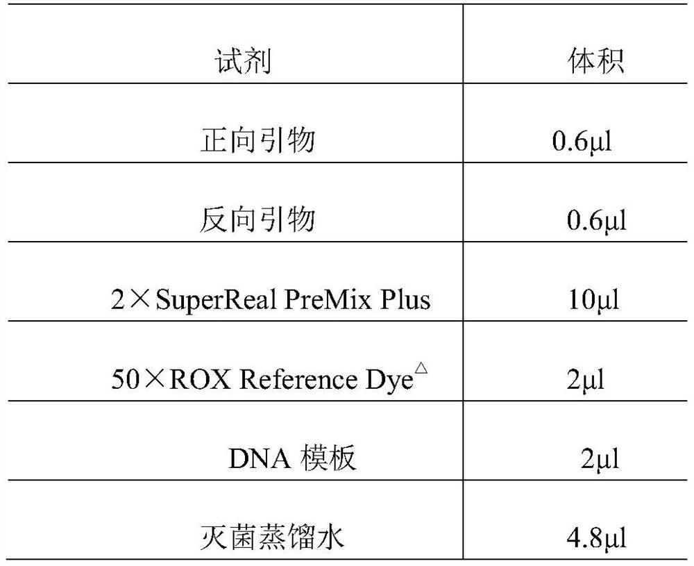 Application of Molecular Markers in Male Osteoporosis