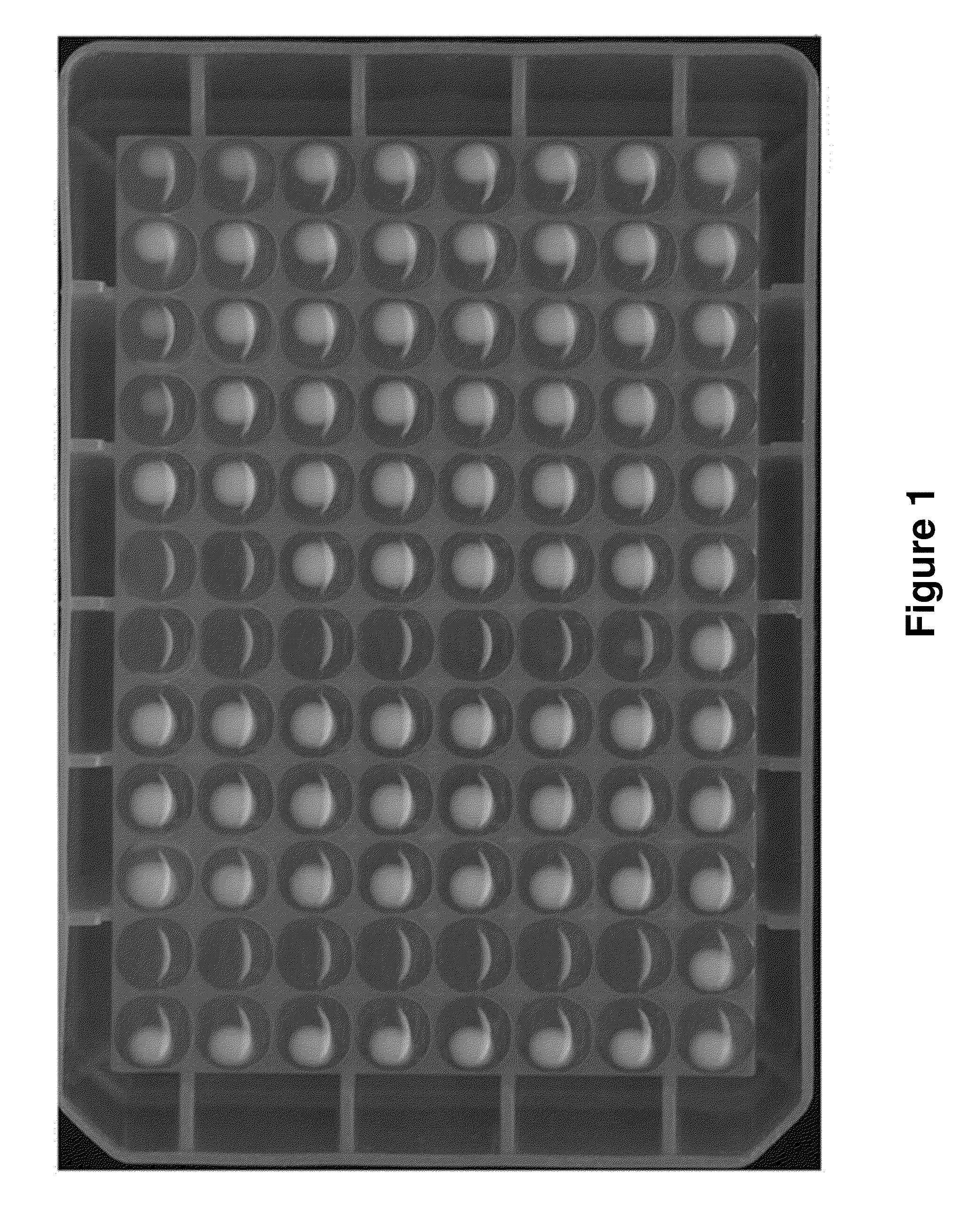 Screening method for drug target gene using heterozygous deletion fission yeast strain