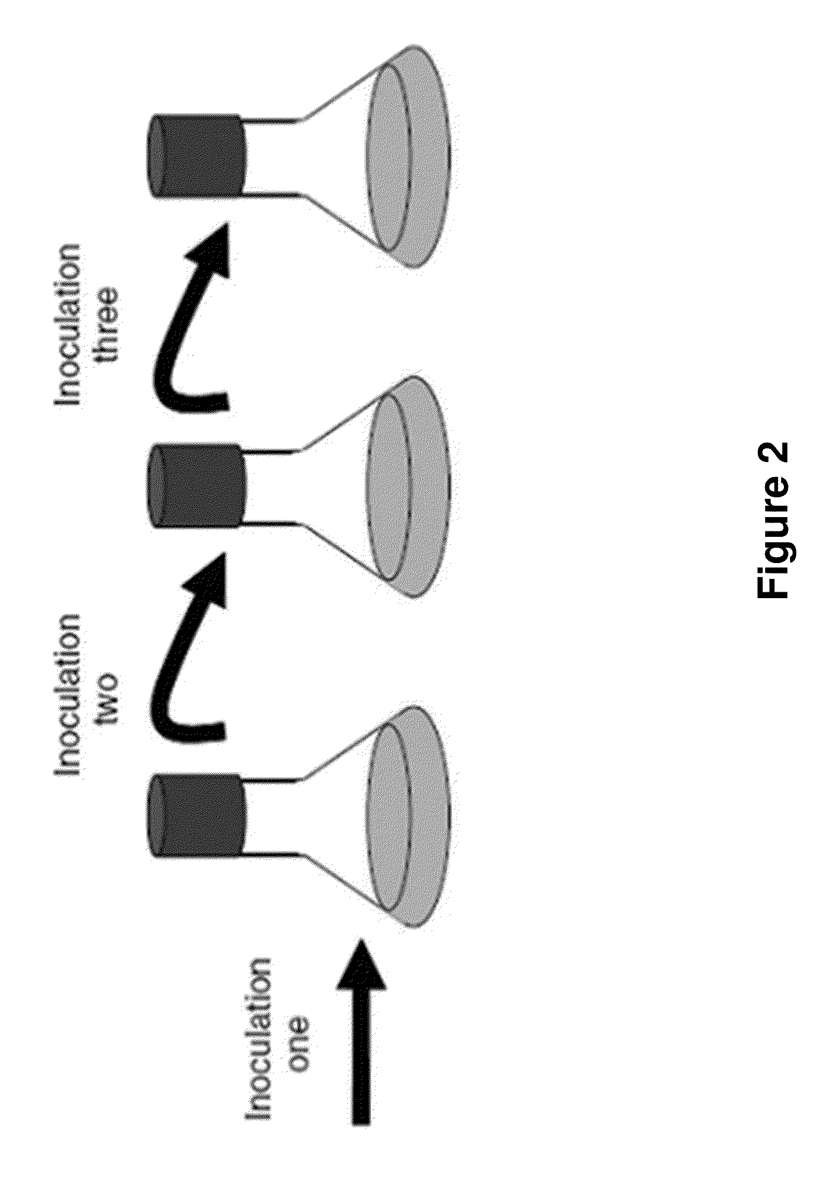 Screening method for drug target gene using heterozygous deletion fission yeast strain