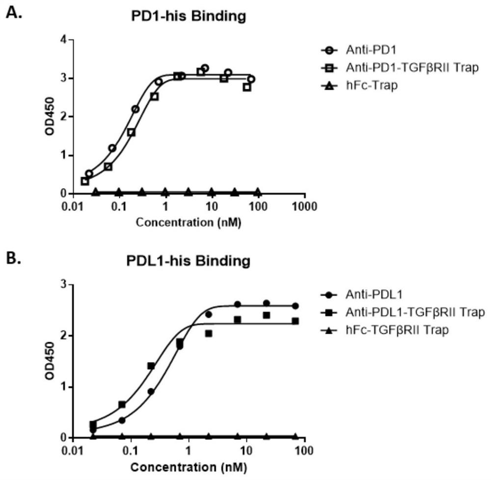 Anti-PD1 and TGF beta bifunctional antibody and preparation method thereof, and pharmaceutical composition containing same