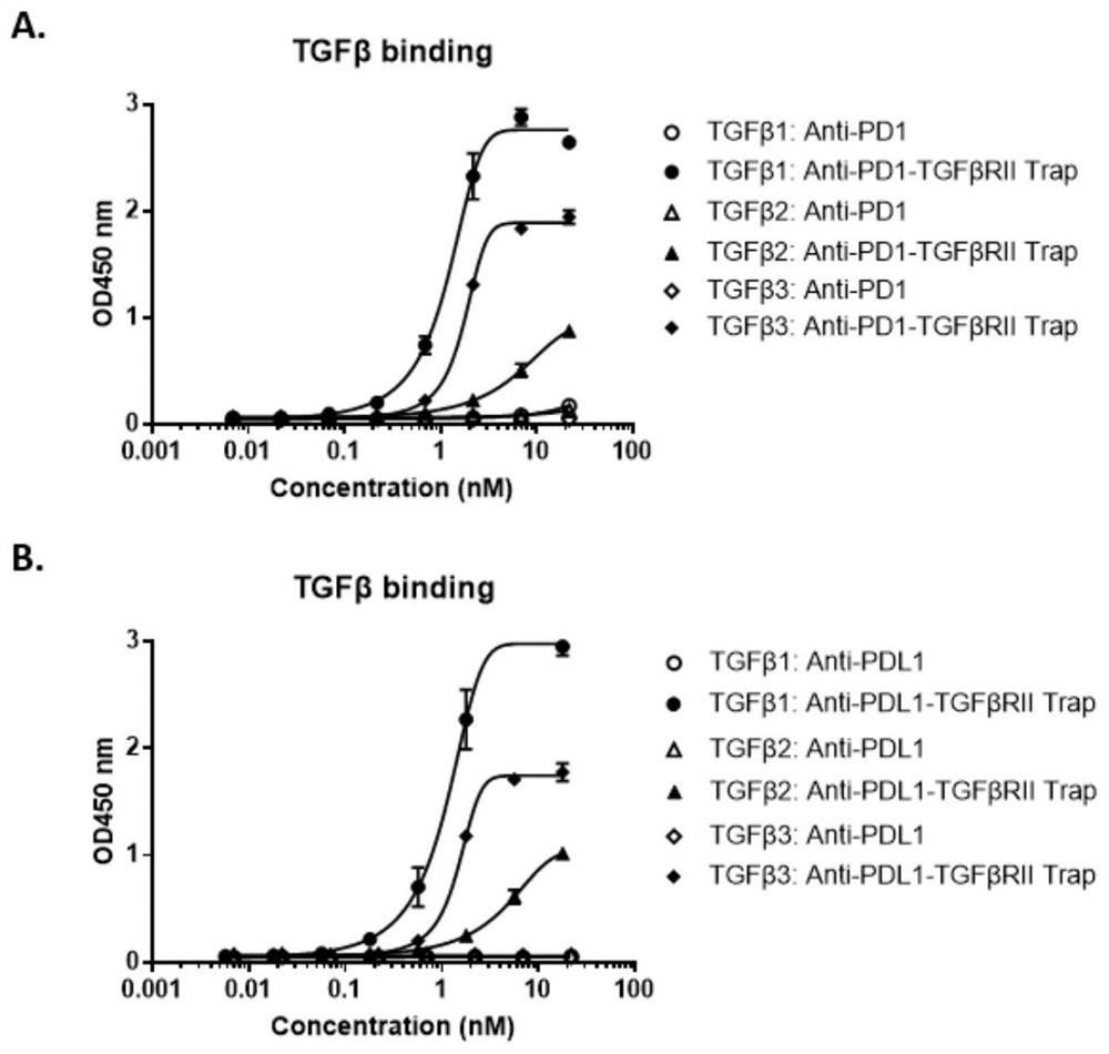 Anti-PD1 and TGF beta bifunctional antibody and preparation method thereof, and pharmaceutical composition containing same