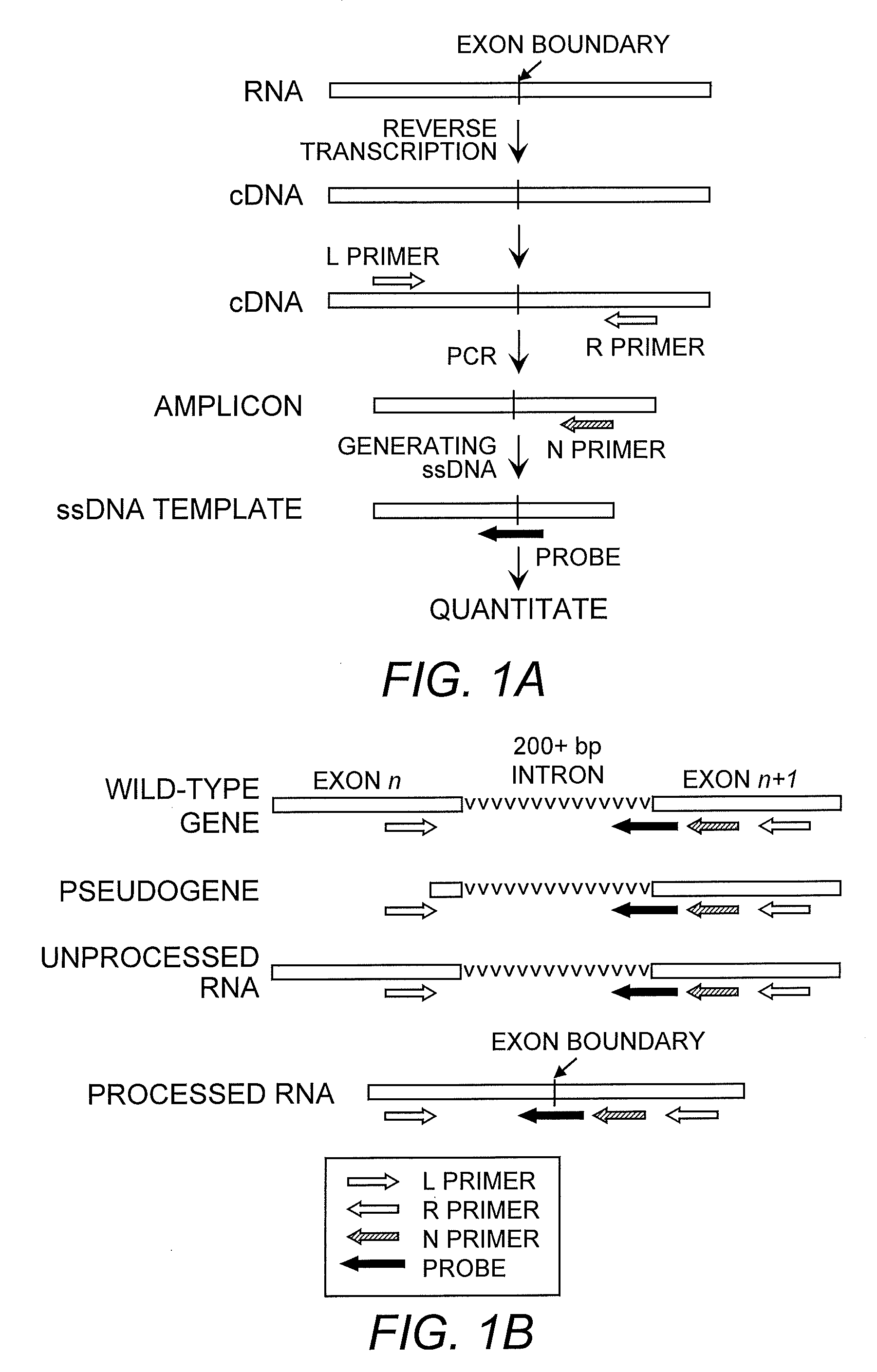 Method for high-throughput gene expression profile analysis