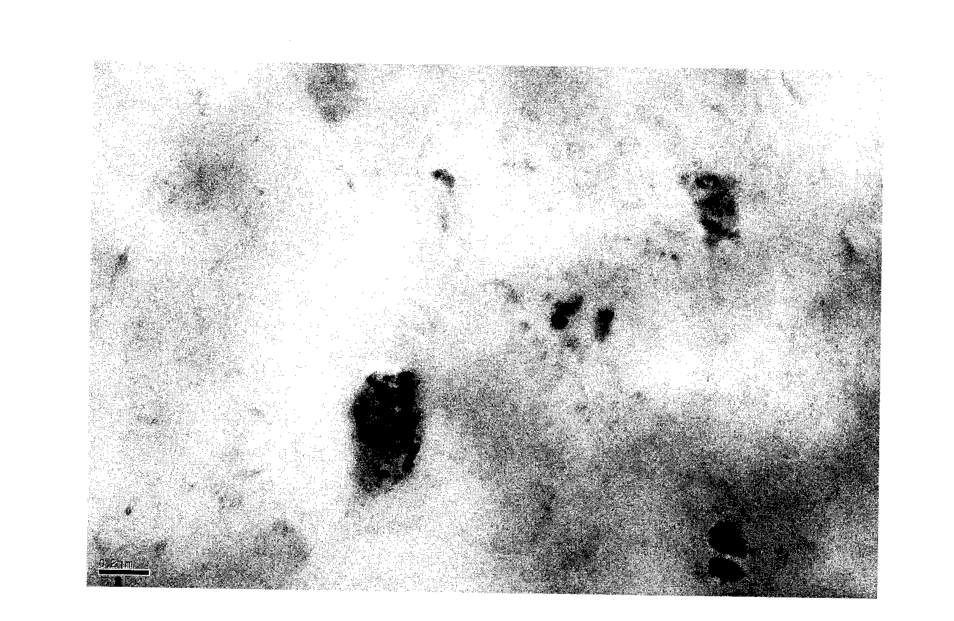 Polyester-carbon nanotube-tourmaline powder composite material and preparation method thereof