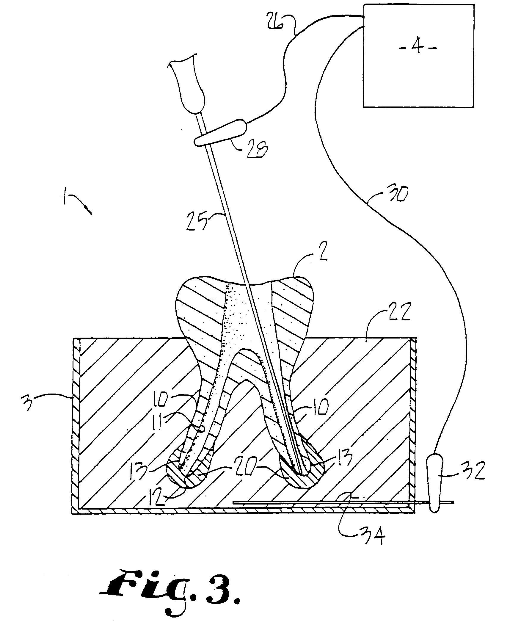 Dental training device