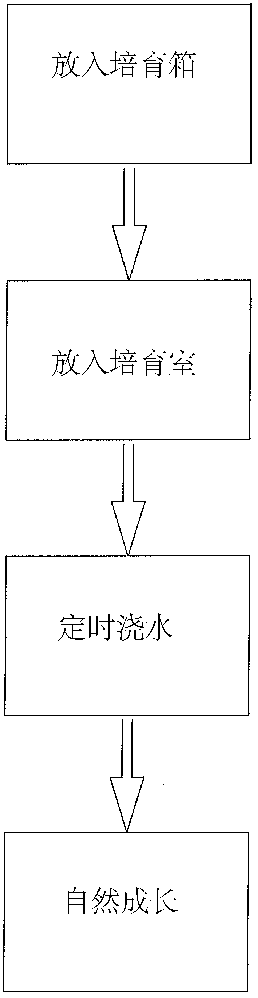 Method and device for bean sprout mass production cultivation