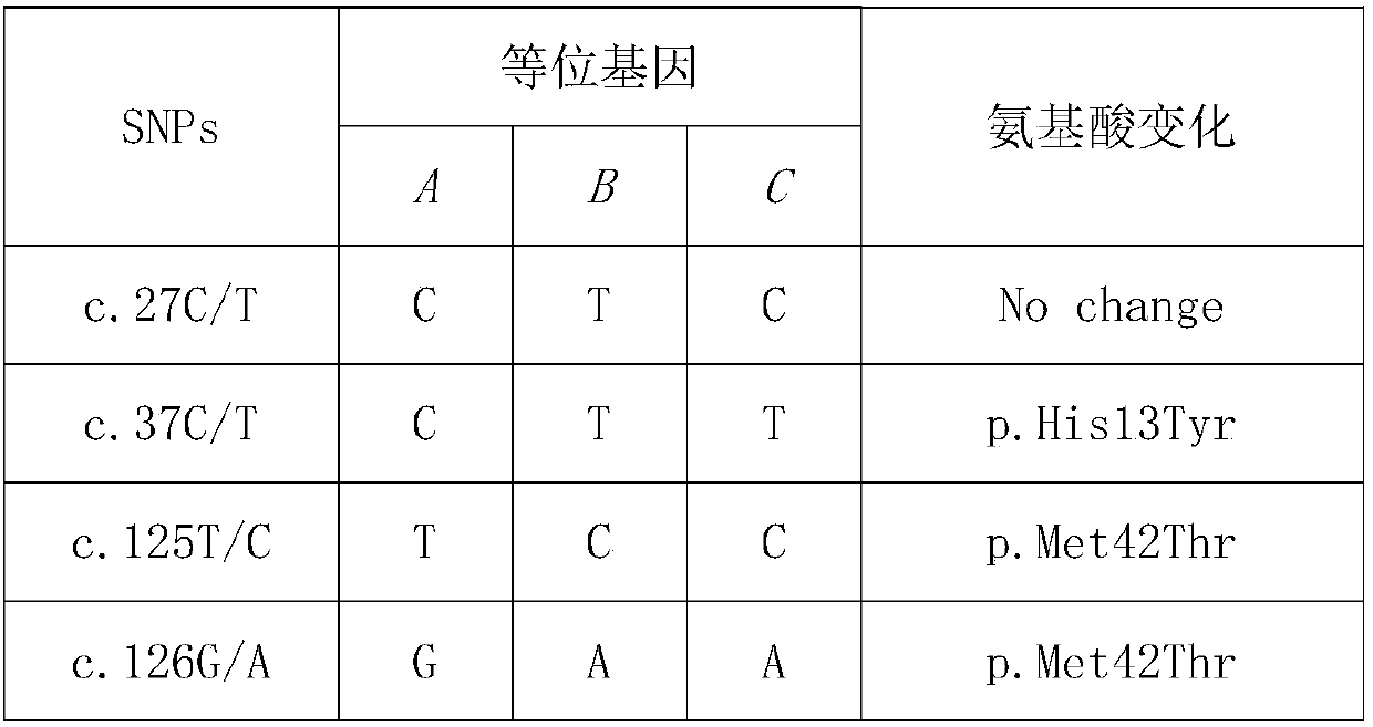 Genetic marker related to cashmere wool property of eastern Gansu cashmere goats and application of genetic marker