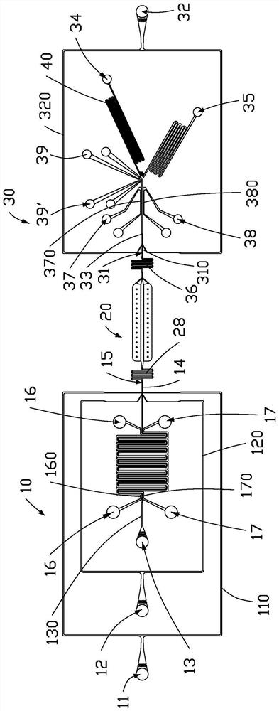 Microfluidic chip