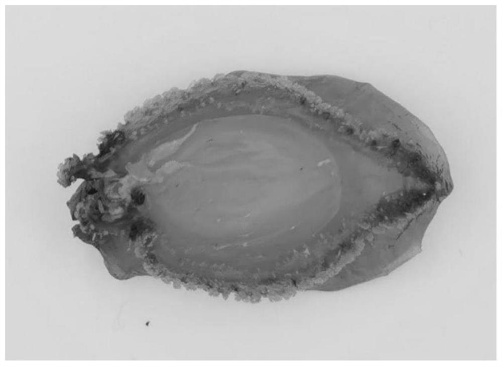 Soft boiled dried abalone and preparation method thereof