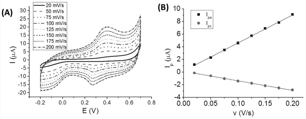 Bisphenol A sensor of nano-porous gold modified based on aptamer and method