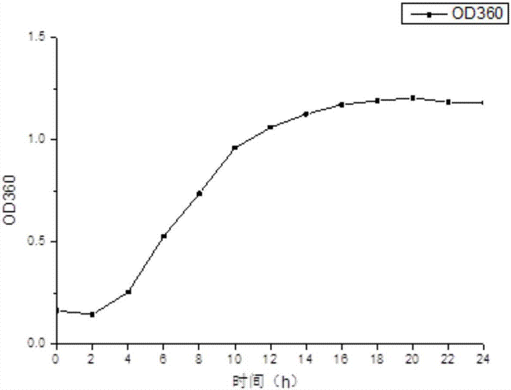 Method for obtaining geobacillus stearothermophilus spores