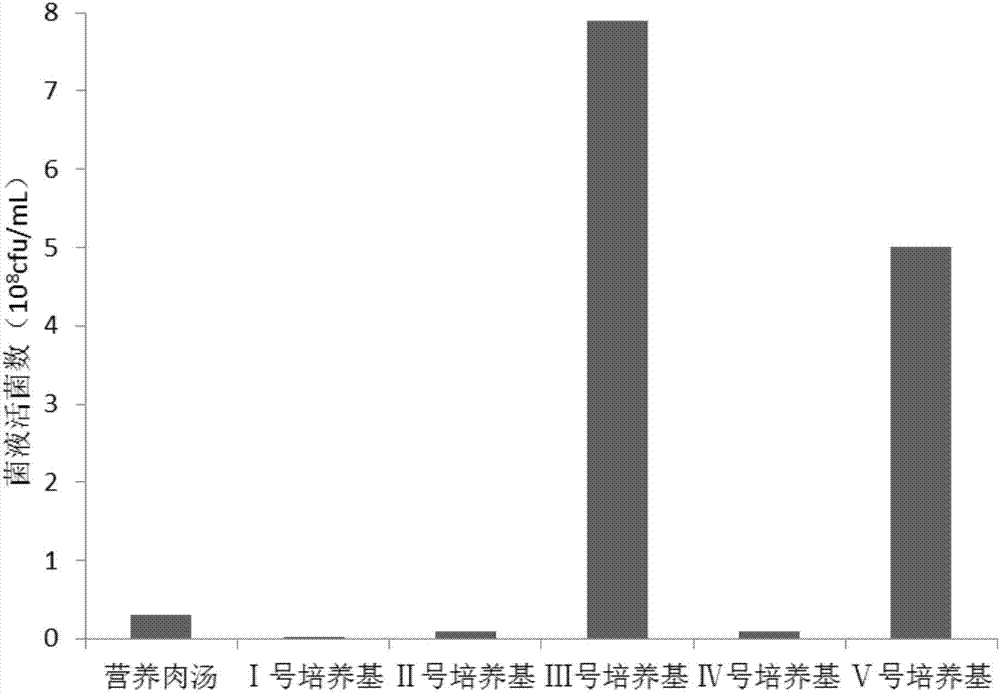 Method for obtaining geobacillus stearothermophilus spores