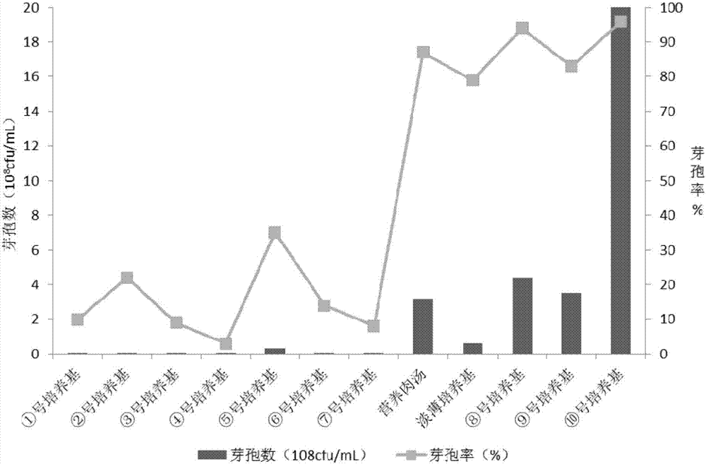 Method for obtaining geobacillus stearothermophilus spores