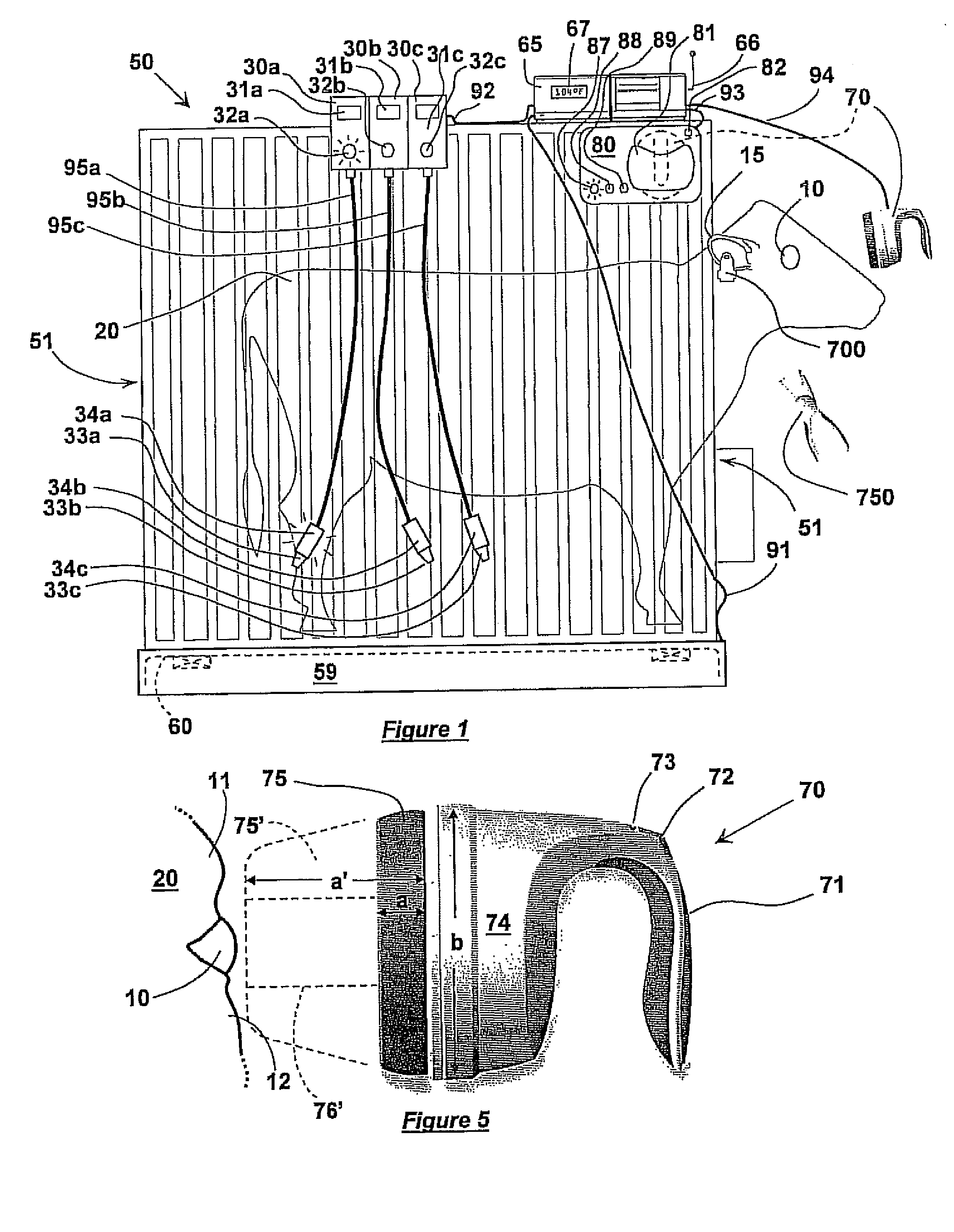 Core-temperature based herd management system and method