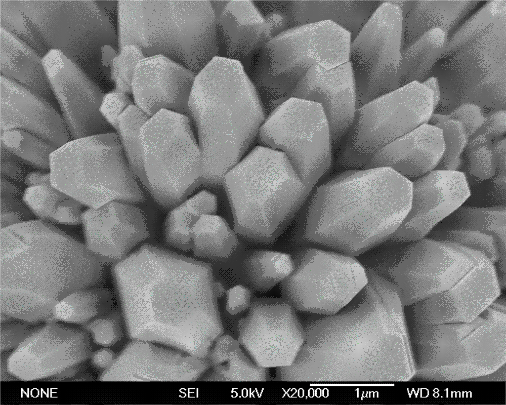 Method for preparing super hydrophobic film on surface of zinc substrate