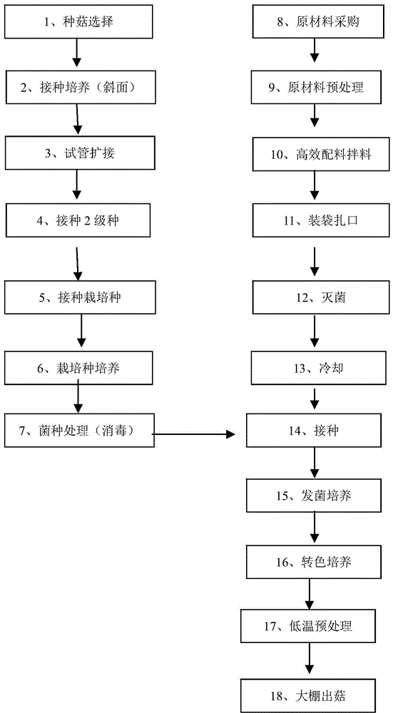 Method for fruiting bag-cultivated mushroom at one time