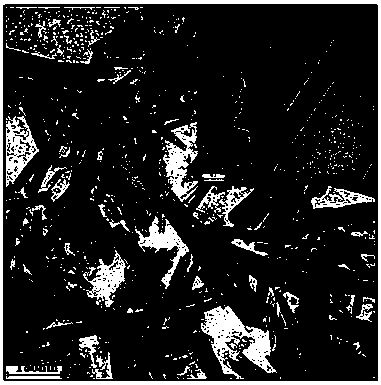 Method for preparing magnetic chrysotile nanotube