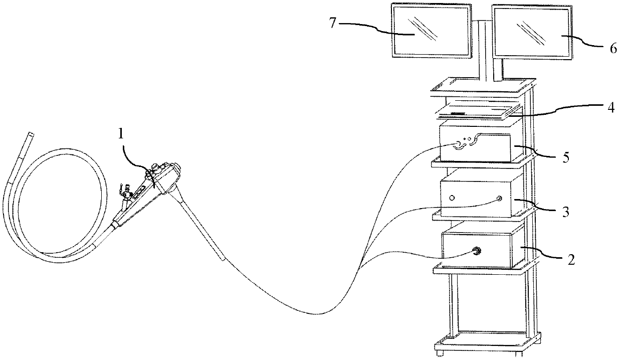 Esophagoscope system with night vision function