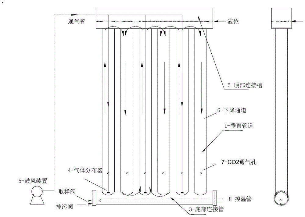 Novel multifunctional airlift tube photobioreactor