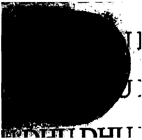 Method for preparing colored nanometer cellulose/polylactic acid composite film